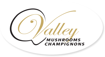 Valley Mushrooms